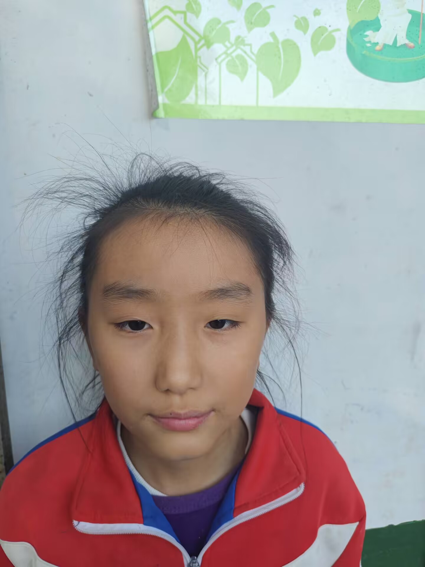棨ƻ